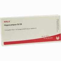 Hippocampus Gl D5 Ampullen 10 x 1 ml