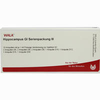 Hippocampus Gl Serienpackung Iii Ampullen 10 x 1 ml