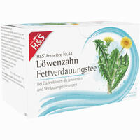 H&s Löwenzahn Filterbeutel 20 Stück