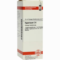 Hypericum C6 Dilution 20 ml