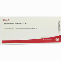 Hypericum Ex Herba D30 Ampullen 10 x 1 ml