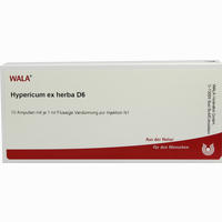 Hypericum Ex Herba D6 Ampullen 10 x 1 ml
