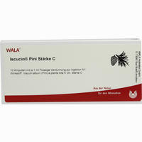 Iscucin Pini Stärke C Ampullen 10 x 1 ml