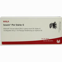 Iscucin Pini Stärke G Ampullen 10 x 1 ml