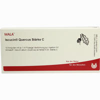 Iscucin Quercus Stärke C Ampullen 10 x 1 ml