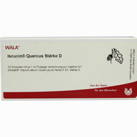 Iscucin Quercus Staerke D Ampullen 10 x 1 ml