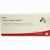 Iscucin Quercus Stärke E Ampullen 10 x 1 ml