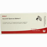 Iscucin Quercus Stärke F Ampullen 10 x 1 ml