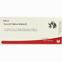 Iscucin Salicis Stärke B Ampullen 10 x 1 ml