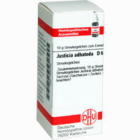 Justicia Adhatoda D12 Globuli 10 g