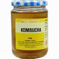 Kombucha Teepilz Hecht pharma 1 Stück