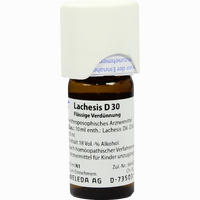 Lachesis D30 Dilution 20 ml