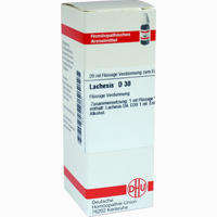 Lachesis D30 Dilution Dhu-arzneimittel 20 ml