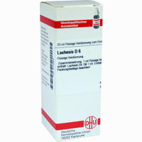 Lachesis D6 Dilution 20 ml