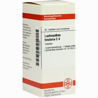 Lachnanthes Tinct C4 Tabletten 80 Stück