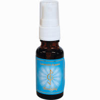 Lavendel Essenz 20 ml
