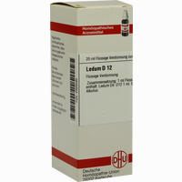 Ledum D12 Dilution 20 ml