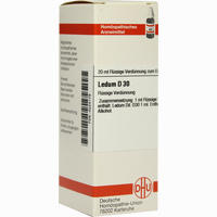 Ledum D30 Dilution 20 ml
