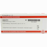 Ledum D4 Ampullen 10 x 1 ml