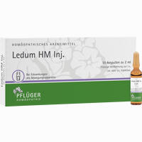 Ledum Hm Inj. Ampullen 10 Stück