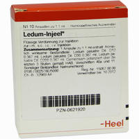 Ledum- Injeel Ampullen 10 Stück