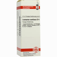 Leonurus Cardiaca D4 Dilution 20 ml