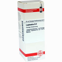 Leptandra D2 Dilution 20 ml