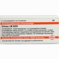 Lm Silicea Xxiv Globuli 5 g