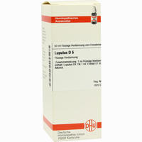 Lupulus D6 Dilution 50 ml