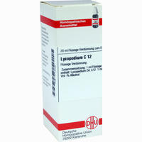 Lycopodium C12 Dilution 20 ml