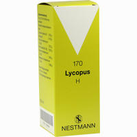 Lycopus H 170 Tropfen 100 ml