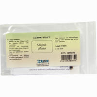 Magnetpflaster Icron Vital 10 Stück