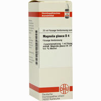 Magnolia Glauca D4 Dilution 20 ml