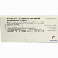 Mandragora D6 Men Gen Ampullen 8 x 1 ml