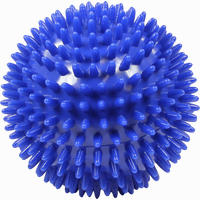 Massageigelball 10cm Blau 1 Stück