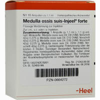 Medulla Ossis Suis- Injeel Forte Ampullen 10 Stück