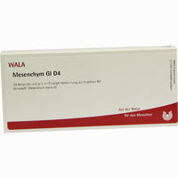 Mesenchym Gl D4 Ampullen 10 x 1 ml