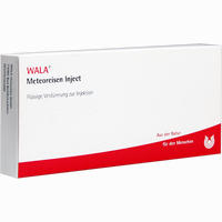 Meteoreisen Inject Ampullen 10 x 1 ml