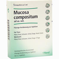 Mucosa Comp Ad Us. Vet. Ampullen 5 x 5 ml