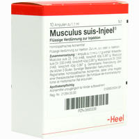 Musculus Suis- Injeel Ampullen 10 Stück