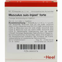 Musculus Suis- Injeel Forte Ampullen 10 Stück