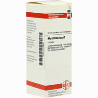 Myrtillocactus Urtinktur Dilution 20 ml