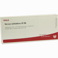 Nervus Ischiadicus Gl D6 Ampullen 10 x 1 ml