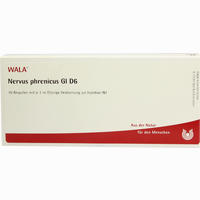 Nervus Phrenicus Gl D6 Ampullen 10 x 1 ml