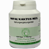 Nopal- Kaktus Mex. Kapseln 120 Stück