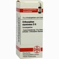 Orthosiphon Stamineus D6 Globuli 10 g