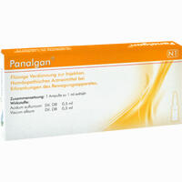 Panalgan Ampullen 10 Stück