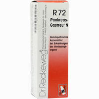 Pankreas Gastreu N R72 Tropfen 22 ml