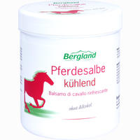 Pferdesalbe Kühlend 300 ml
