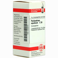 Phellandrium Aquat C30 Globuli 10 g